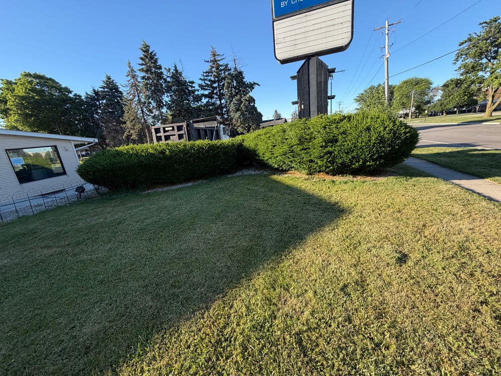 Lawn with neatly trimmed bushes and trees near a street sign on a sunny day.