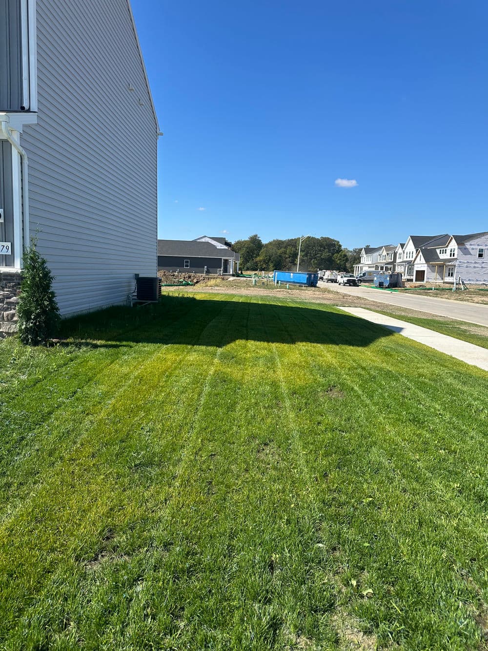 Well-maintained lawn with striped grass under a clear blue sky and nearby homes.