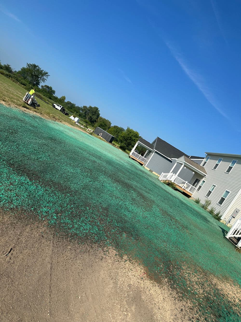 Green grass seed being spread on a residential lawn under clear blue skies.
