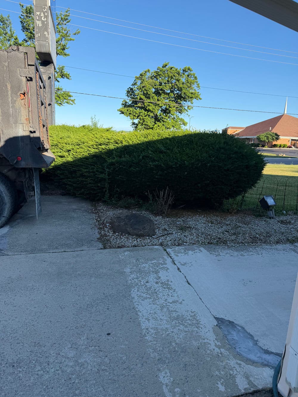 View of driveway with truck, hedges, and clear blue sky on a sunny day.