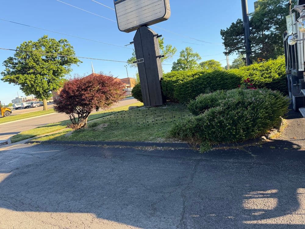 Lush landscaping with bushes and trees beside a parking lot under clear blue skies.