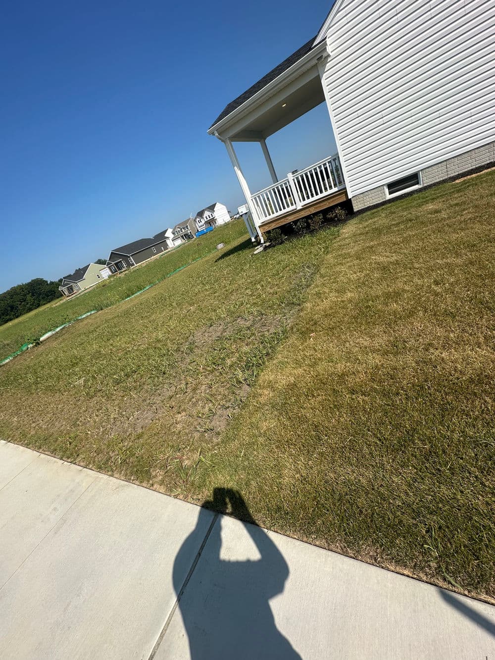 Newly landscaped yard with a house and clear blue sky, showcasing green grass and sidewalk.